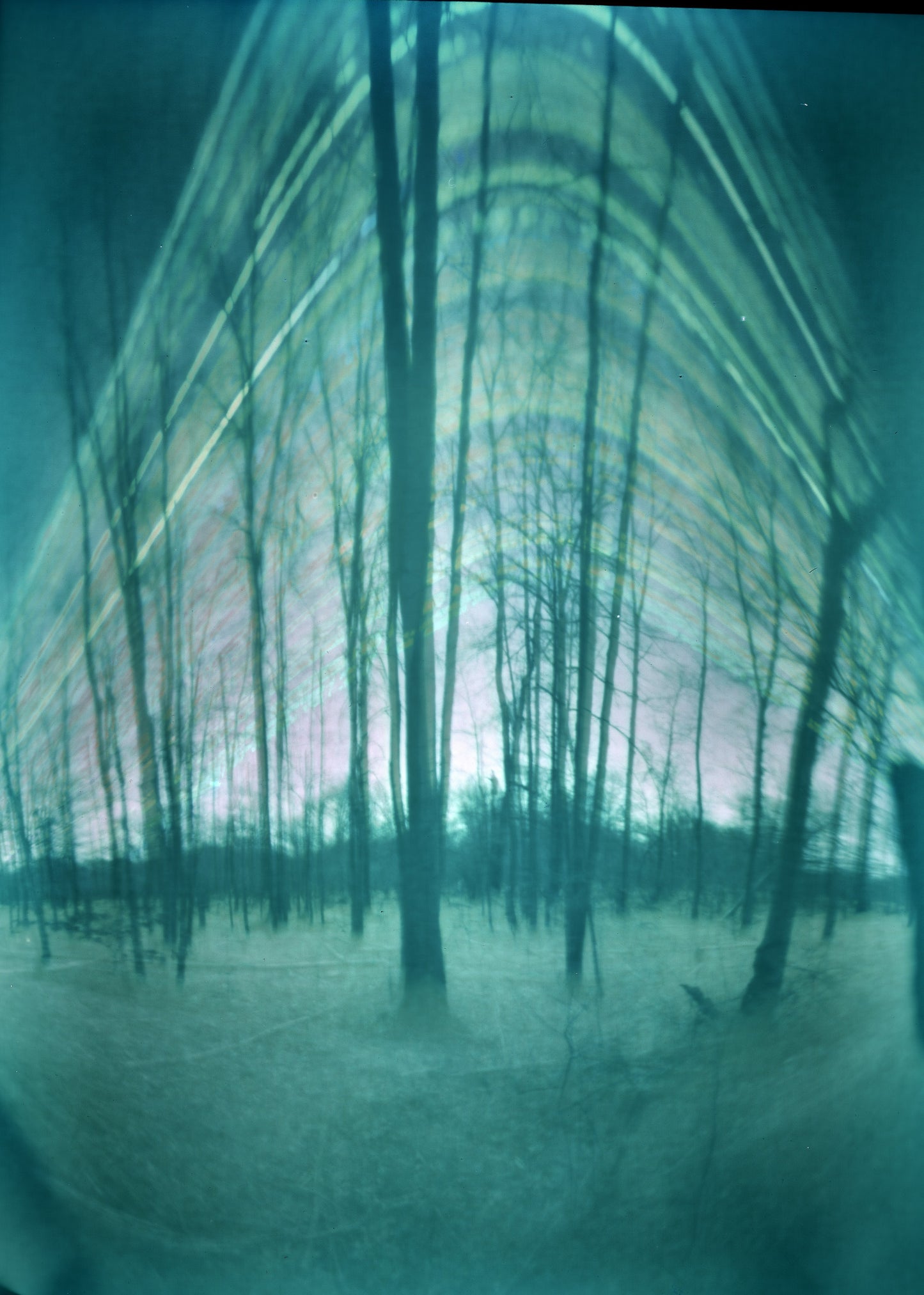 Great Swamp Wilderness Area - Fine Art Solargraph Print